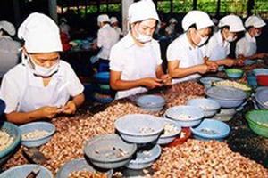 Hội nhập tới nơi mà chưa lo ‘bơi’