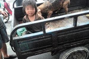 Trung Quốc rúng động vụ với cậu bé sống với lợn, 7 tuổi chưa biết nói
