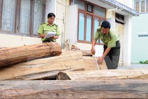Quảng Trị: Kỷ luật cảnh cáo Hạt trưởng kiểm lâm mua gỗ trái phép