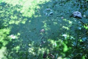 Người dân Kim Sơn khắc khoải chờ nước sạch