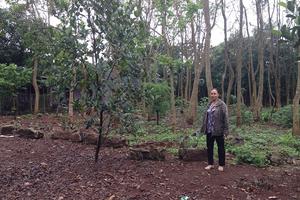 Kỳ I: Trên chỉ đạo, dưới không nghe?