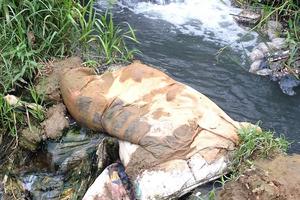 Khó xử lý tình trạng xả thải gây ô nhiễm môi trường