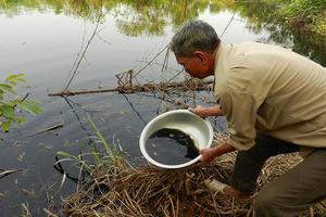 Mòn mỏi chờ UBND thị xã Sơn Tây thực thi bản án