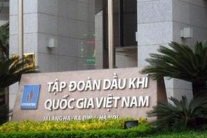 Trái đắng đầu tư ngoài ngành của các tập đoàn kinh tế