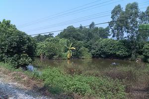 Vi phạm đất đai kéo dài gây khiếu kiện