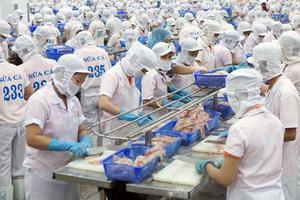 Kim ngạch xuất khẩu cá tra đạt gần 750 triệu USD