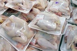 Sẽ điều tra cụ thể đùi gà Mỹ có bán phá giá không?