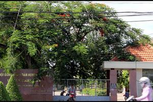 Hình thức xử lý vi phạm của bà Hạnh chưa phù hợp