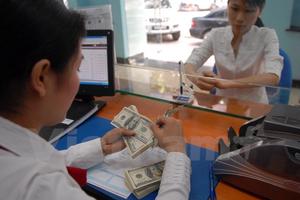 Việc nâng biên độ tỷ giá vẫn chưa ảnh hưởng đến doanh nghiệp