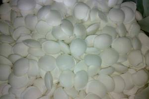 Trung Quốc xác nhận có chất cực độc tại hiện trường vụ nổ