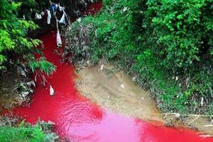 Hãi hùng dòng suối 'máu' bất thường ở Điện Biên