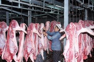 Phát hiện chất cấm trong các mẫu thịt lợn ở tỉnh Đồng Nai