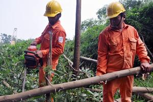 EVN HANOI: Đảm bảo an toàn điện mùa mưa bão