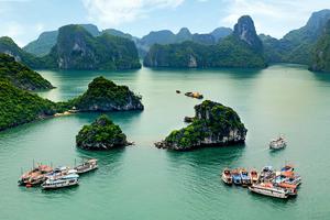 Kiểm tra thông tin tàu du lịch vịnh Hạ Long bị "làm luật"