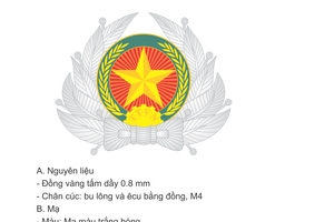 Công chức, viên chức phải mặc trang phục mới theo Thông tư 02