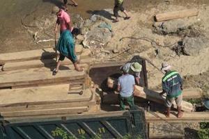 Bắt giữ hơn 100 bê gỗ Pơ Mu tại huyện Quế Phong