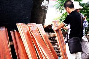 Bán cả ‘rừng non’ cho Trung Quốc