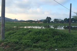 Dự án 3.000 tỷ ở Thanh Hóa: “Nhìn mà xót quá mấy chú à!”