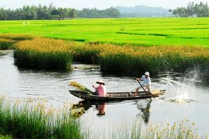Việt Nam đang cần thêm một 'Khoán 10'
