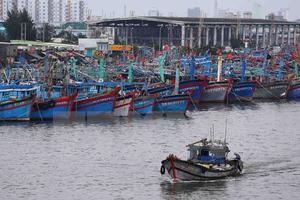 Ứng phó với bão số 3: Học sinh Đà Nẵng nghỉ học từ trưa 14/9