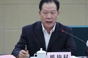 Trung Quốc cách chức em trai của ông Quách Bá Hùng