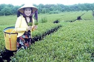 Bộ Công an vào cuộc vụ nữ doanh nhân chết bất thường