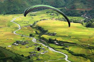Yên Bái: Kỳ thú với dù lượn "bay trên mùa vàng" tại đèo Khau Phạ