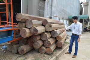 Tịch thu 26 lóng gỗ Xoay không rõ nguồn gốc