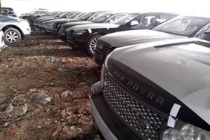 Lô 143 siêu xe thuộc diện hàng vi phạm vô chủ giờ đã có chủ