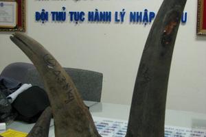 Thực hư chuyện sừng tê giác nhân tạo trị bách bệnh?
