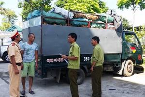 Xe tải chở 3,6 tấn xương động vật hôi thối