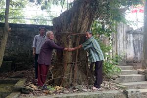 Kỳ II: Nghi án 2 lóng gỗ sưa… biến mất