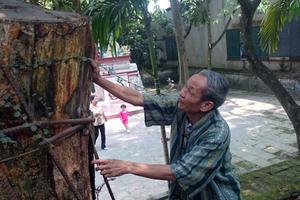 Kỳ 1: Không vi phạm, vẫn bị thu giữ