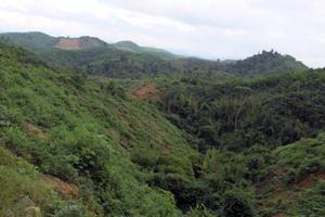 Cơ quan THA năng lực yếu kém hay sợ trả thù?