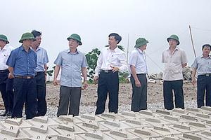 Tồn đọng 230 vụ vi phạm pháp luật về đê điều