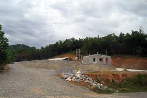 Nhiều nhà máy chế biến lâm sản xây dựng trái phép