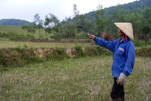 Hàng loạt sai phạm tại Cty Lâm nghiệp Trà Tân