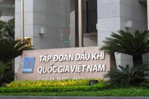 Ban hành Điều lệ, Quy chế tài chính các tập đoàn kinh tế