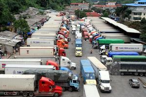 Xử lý quá hạn tái nhập ô tô qua biên giới giao nhận hàng 