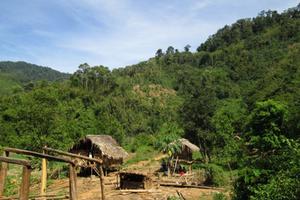 Tử vong do súng cướp cò