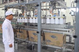 Nhà nước đợi 10 năm để “chốt lời” Vinamilk