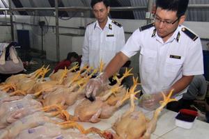 Cảnh báo về nguyên liệu tạo màu vàng trong thịt gà có thể gây ung thư