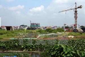 Hà Nội tồn đọng hơn 144.000 thửa đất không đủ điều kiện cấp “sổ đỏ”