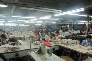 Khuyến cáo về phát triển nóng Khu công nghiệp Dệt may 