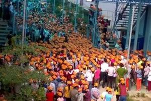 Đình chỉ chủ quản đập giày vào mặt công nhân