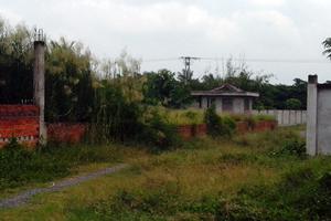 Kỳ I: Vì sao giám đốc bị khởi tố án hình sự?