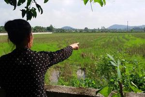 Dồn đổi ruộng kiểu... “dồn” dân vào cảnh nghèo