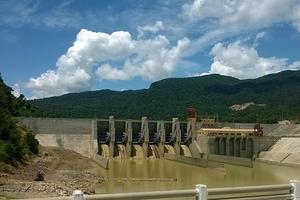 Không trồng rừng thay thế, kiên quyết thu hồi giấy phép