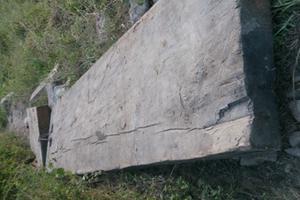 Phó Công an xã “tiếp tay” cho lâm tặc