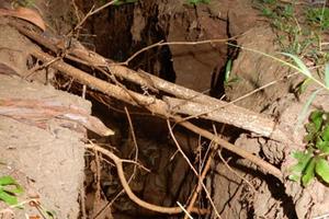 Đất nứt bất thường, người dân hoang mang 